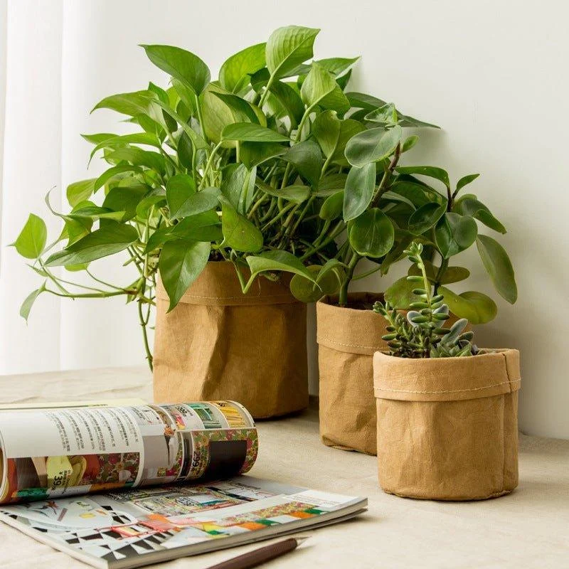 Kraft Paper Planter -