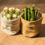 Kraft_Paper_Planter_-_-4314008 Kraft Paper Planter