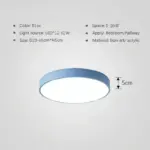 LED-Ceiling-Light-Minimalist-Multicolor-Ultra-thin-Round-Lamp-Nodic-For-Living-Room-Bedroom-Study-Aisle_0ade5ff3-f95d-43d7-957f-f2fa2d343e0f LED Ceiling Light Minimalist Multicolor Ultra thin Round Lamp Nodic For Living Room Bedroom Study Aisle 0ade5ff3 f95d 43d7 957f f2fa2d343e0f