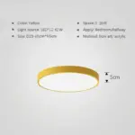 LED-Ceiling-Light-Minimalist-Multicolor-Ultra-thin-Round-Lamp-Nodic-For-Living-Room-Bedroom-Study-Aisle_92a9cefb-e866-4618-b867-871c6000d603 LED Ceiling Light Minimalist Multicolor Ultra thin Round Lamp Nodic For Living Room Bedroom Study Aisle 92a9cefb e866 4618 b867 871c6000d603