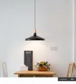 LED Copper Aluminum Hanglamp tag1