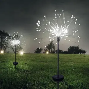 LED Solar Light