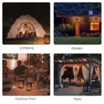 LED_Solar_Lights_Dancing_Flame_-_-_tag1_-4297206 LED Solar Lights Dancing Flame tag1
