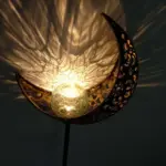LED Solar Moon LED tag1