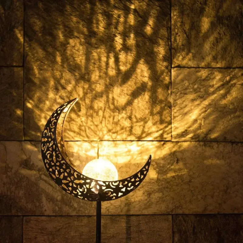 LED Solar Moon LED tag1