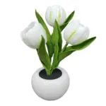 LED_Tulip_Table_Lamp_-_-4317488 LED Tulip Table Lamp