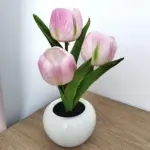 LED_Tulip_Table_Lamp_-_-4317515 LED Tulip Table Lamp