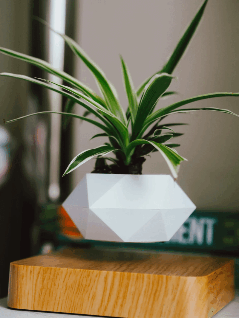 LEVITATINGPLANTPOT Homeko2