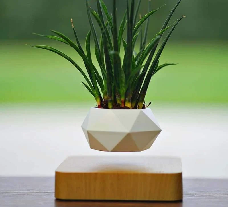 LEVITATING PLANT POT - Homeko