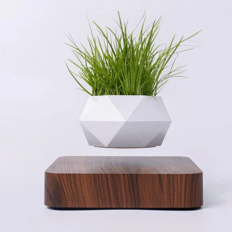 LEVITATING PLANT POT - Homeko