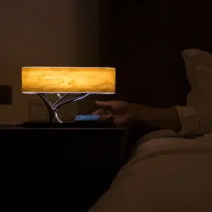 LIGHT OF LIFE