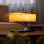 LIGHT OF LIFE tag1