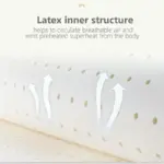 Latex_Cushion_-_Chill_-_Washable_-_Back_Support_-_-_tag1_-4290754 Latex Cushion Chill Washable Back Support tag1