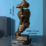 Lavish_Luxury_Sculptures_-_-4316367 Lavish Luxury Sculptures