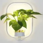Led-Plant-Wandlampen-Restaurant-Gangpad-Indoor-Decor-Verlichtingsarmaturen-Huis-Woonkamer-Glas-Water-Begeleidende-Planten-Muur-Sconc.jpg_640x640_cf6f9aa4-9d5c-4203-a5e5-1ca24ceb879f Led Plant Wandlampen Restaurant Gangpad Indoor Decor Verlichtingsarmaturen Huis Woonkamer Glas Water Begeleidende Planten Muur Sconc.jpg 640x640 cf6f9aa4 9d5c 4203 a5e5 1ca24ceb879f