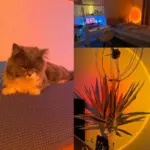 Led Zonsonderganglamp Nachtlampjes Usb Projector Verjaardagsfeest Decoratie Sfeerverlichting Voor Slaapkamer Woonkamer Muur Fotografie