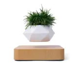 Levitating_Bonsai_Planter_-_-4318594 Levitating Bonsai Planter