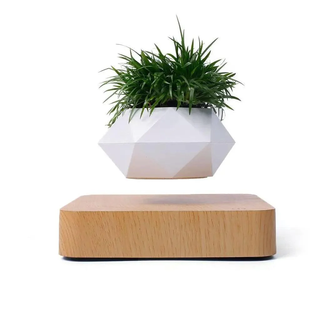 Levitating Bonsai Planter -