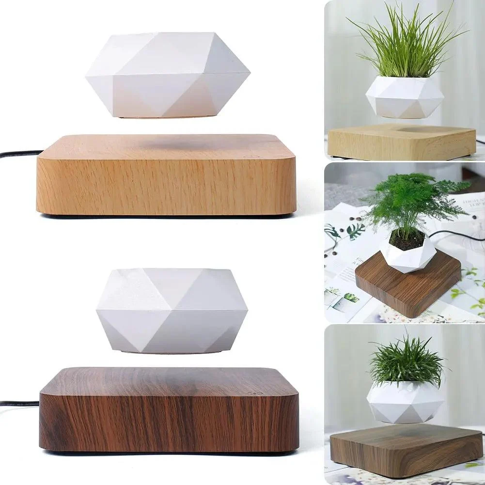 Levitating Bonsai Planter -