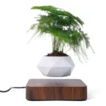 Levitating_Bonsai_Planter_-_-4318612 Levitating Bonsai Planter