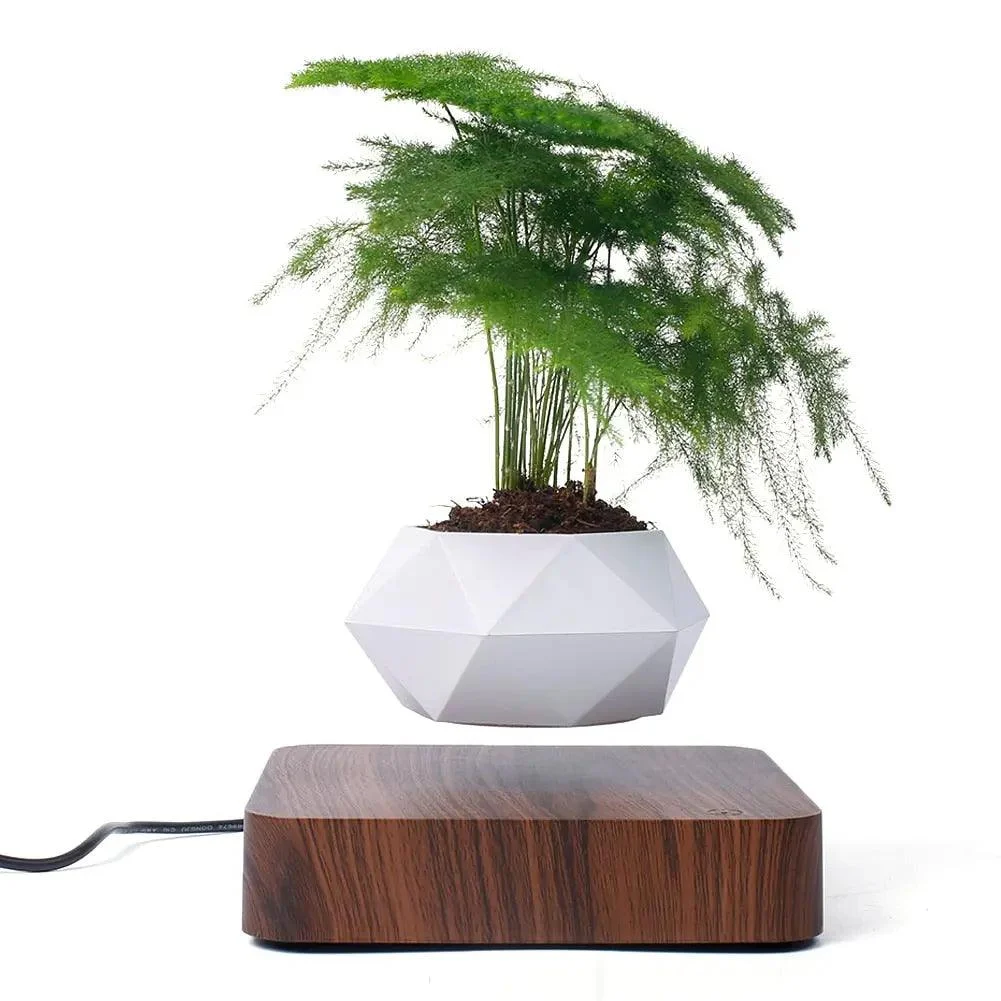 Levitating Bonsai Planter -