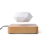 Levitating_Bonsai_Planter_-_-4318624 Levitating Bonsai Planter