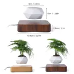Levitating_Bonsai_Planter_-_-4318631 Levitating Bonsai Planter