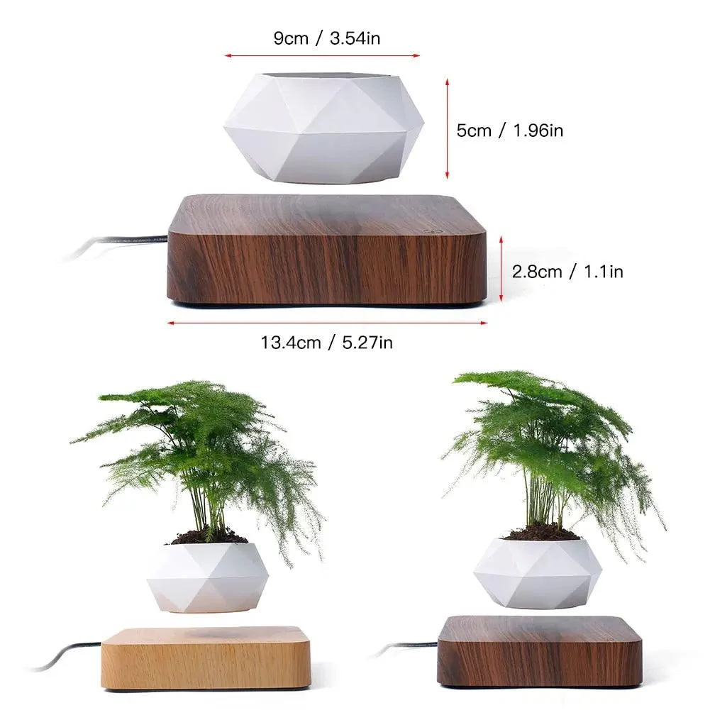 Levitating Bonsai Planter -