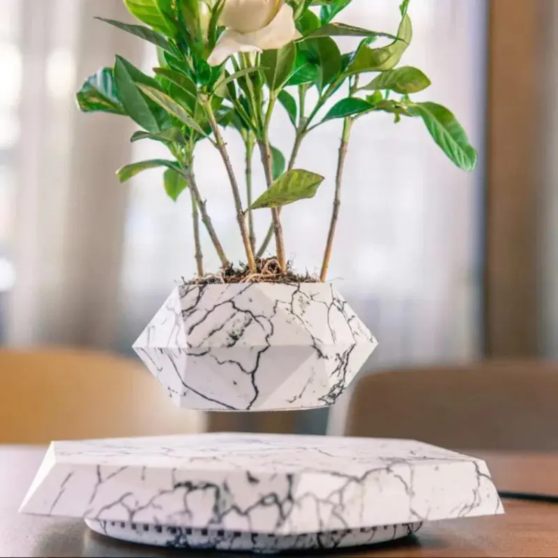 Levitating Bonsai Pot Floating Botanical Elegance