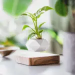 Levitating_Flower_Pot_-_-4318685 Levitating Flower Pot