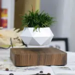 Levitating_Flower_Pot_-_-4318689 Levitating Flower Pot