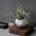 Levitating_Flower_Pot_-_-4318697 Levitating Flower Pot