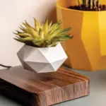 Levitating_Flower_Pot_-_-4318704 Levitating Flower Pot