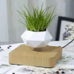 Levitating_Flower_Pot_-_-4318710 Levitating Flower Pot