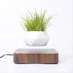 Levitating_Flower_Pot_-_-4318716 Levitating Flower Pot