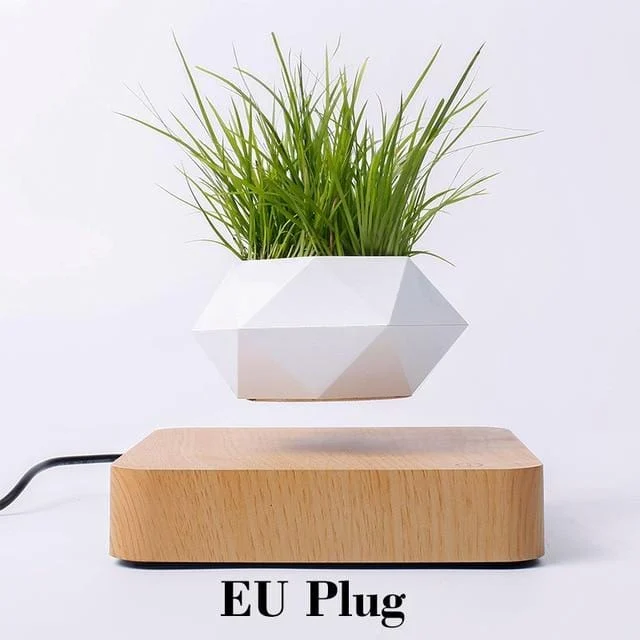 Levitating Pot -  - #tag1#