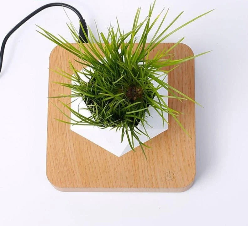 Levitating Pot -  - #tag1#