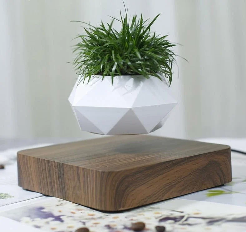 Levitating Pot -  - #tag1#