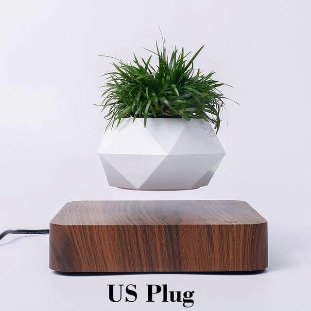 Levitating Pot -  - #tag1#
