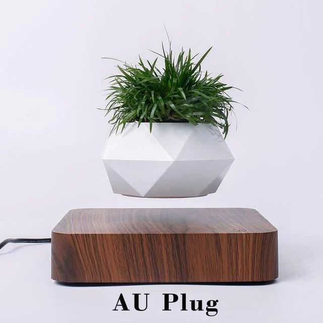 Levitating Pot -  - #tag1#