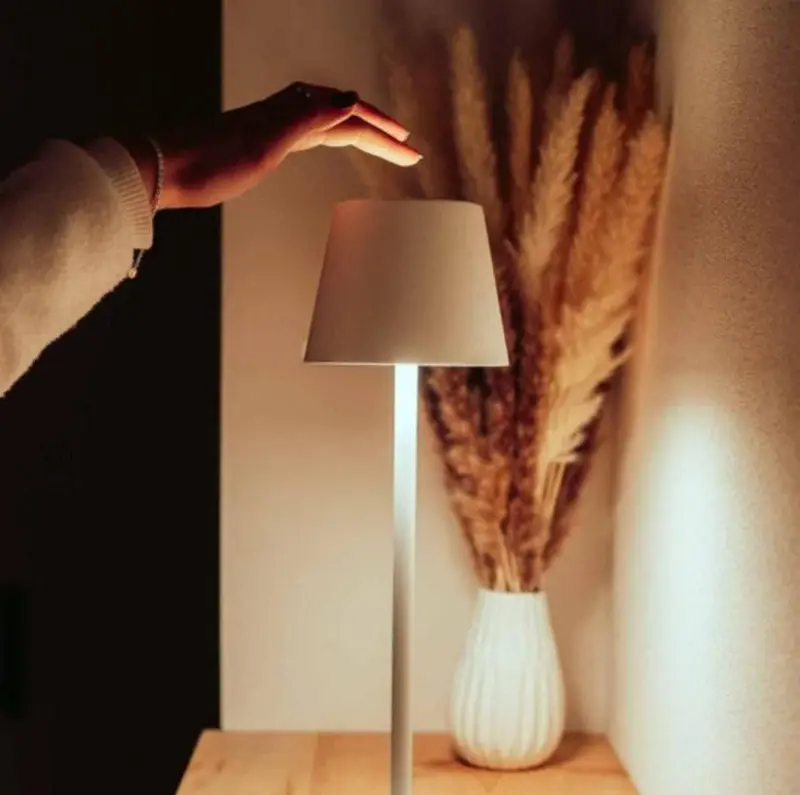 LichtFlex Wireless LED lamp with USB rechargeability tag1