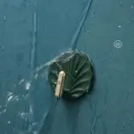 Light Luxury Shell Shape Hook tag1