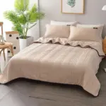 Lightweight_Summer_Cool_Comforter_Ultra_Cozy_Soft_Blanket_-_-_tag1_-4303465 Lightweight Summer Cool Comforter Ultra Cozy Soft Blanket tag1