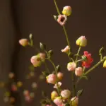 Lilibetha_Artificial_Flowers_-_-4319359 Lilibetha Artificial Flowers
