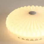 Linn Ceiling lamp