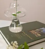 Little_Hydroponic_Mushroom_Glass_Vase_-_-4320615 Little Hydroponic Mushroom Glass Vase