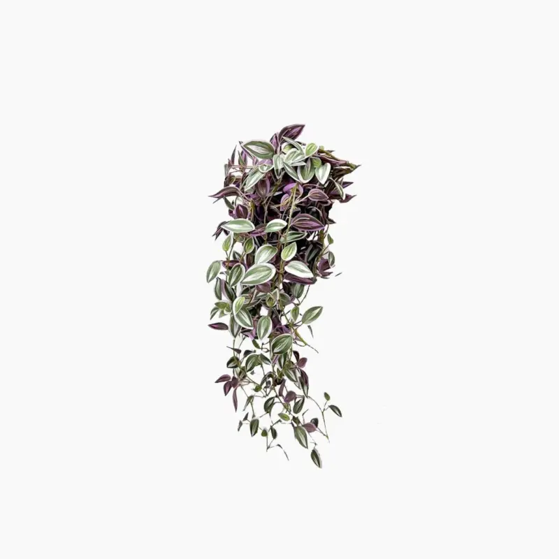 Long Artificial Hanging Vines Leaves