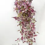 Long Artificial Hanging Vines Leaves