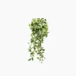 Long Artificial Hanging Vines Leaves