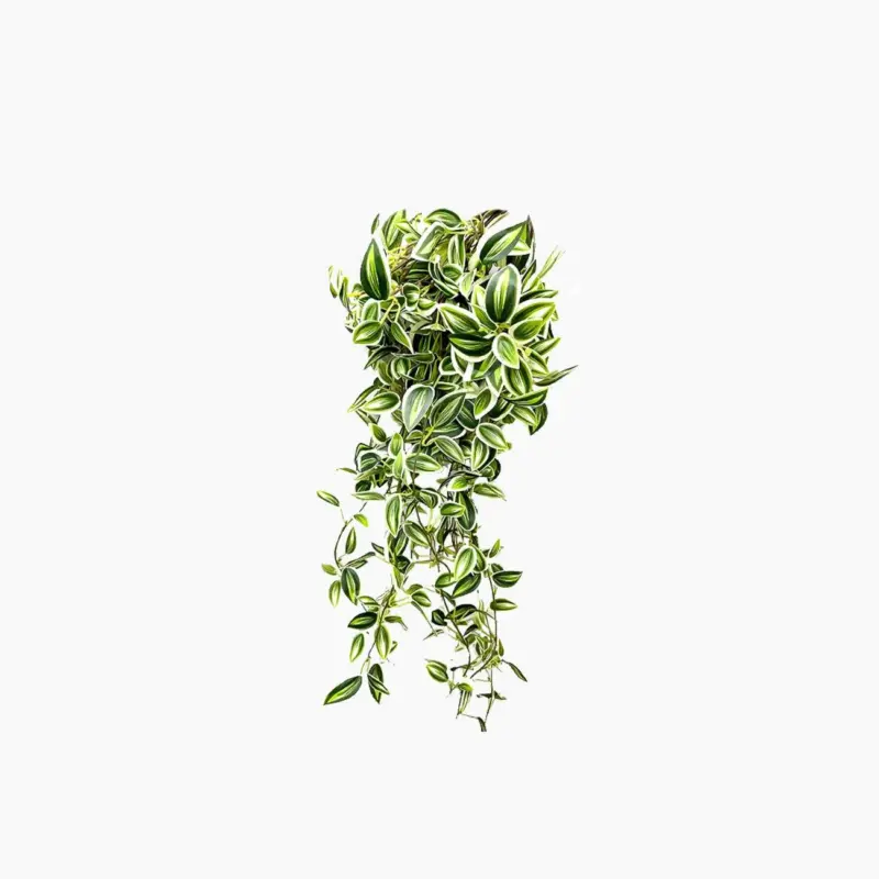 Long Artificial Hanging Vines Leaves
